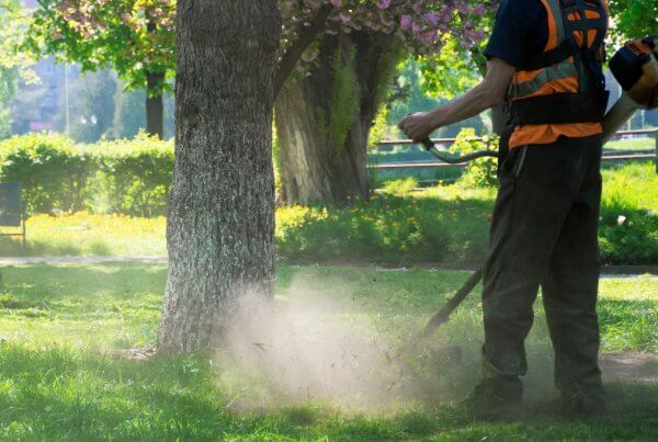 Why You Should Hire a Professional Landscaping Service